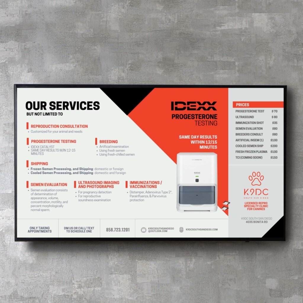 Canva Custom Slideshow Presentation Design Service